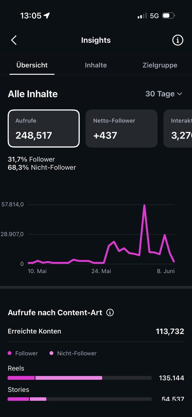 Instagram-Statistik mit 248.517 Aufrufen
