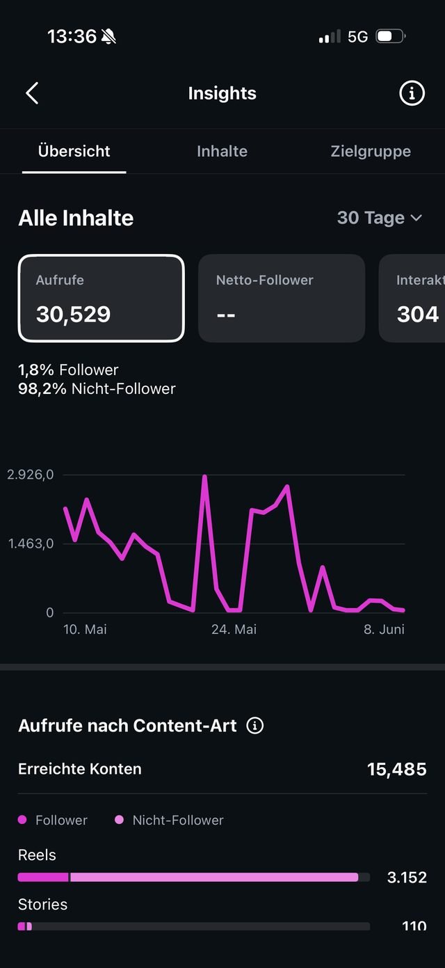 Instagram-Statistik mit 30.529 Aufrufen